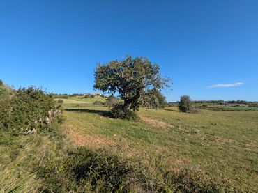 Terrenys i solars en venda a Sant Llorenç des Cardassar 6