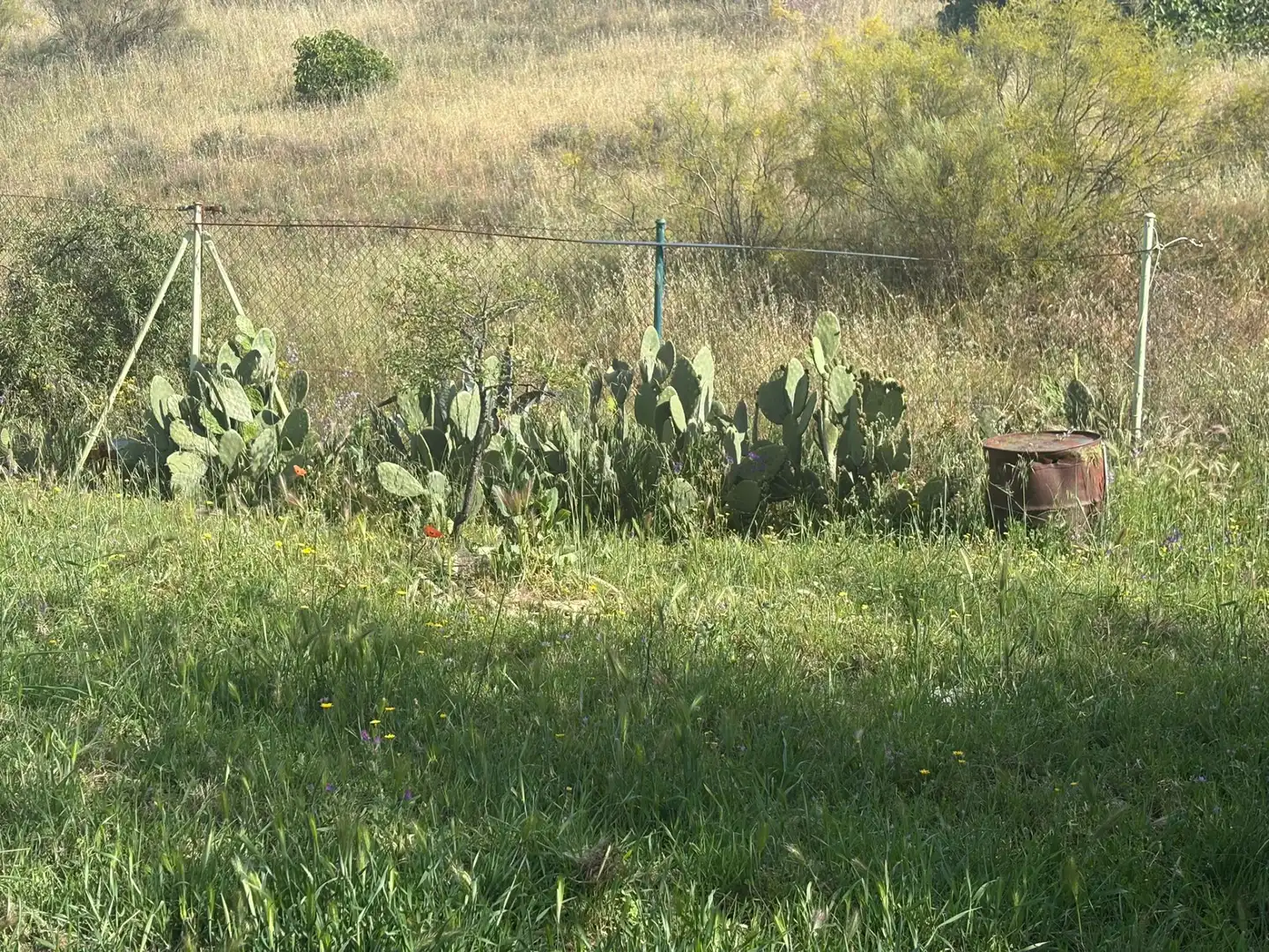 Terreno en venta en Casarrubios del Monte
