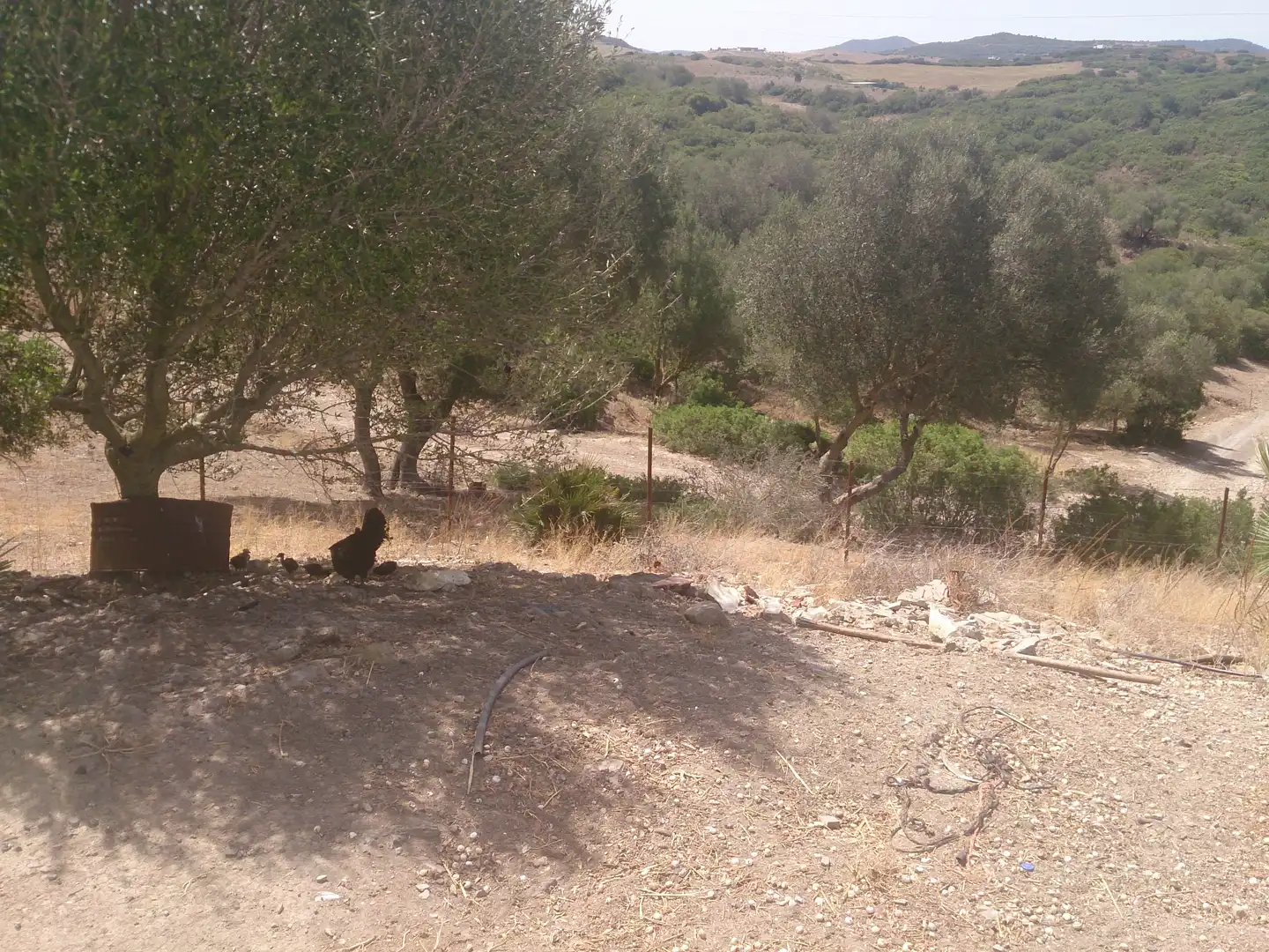 Terreny rústic en venda a Medina Sidonia, imagen 17