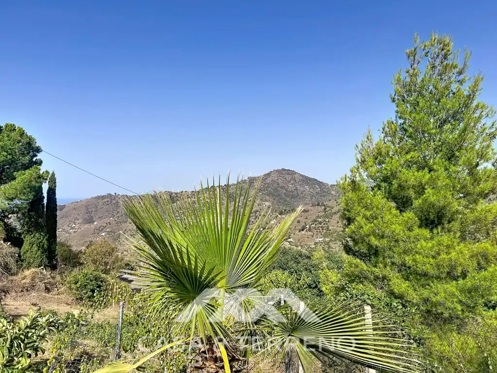 Houses for sale in Diseminados Benamayor, Cómpeta