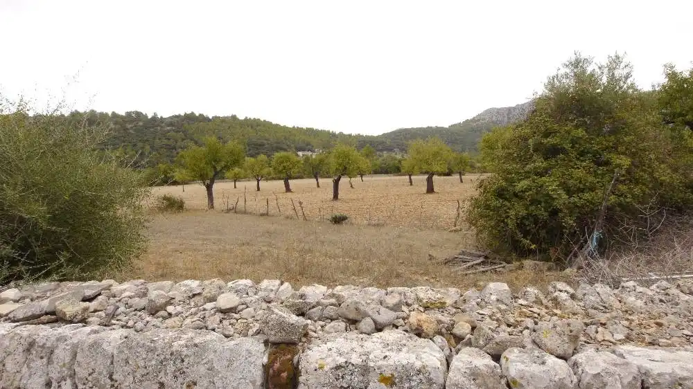 Finca rústica en venda en Pollença amb Jardí privat