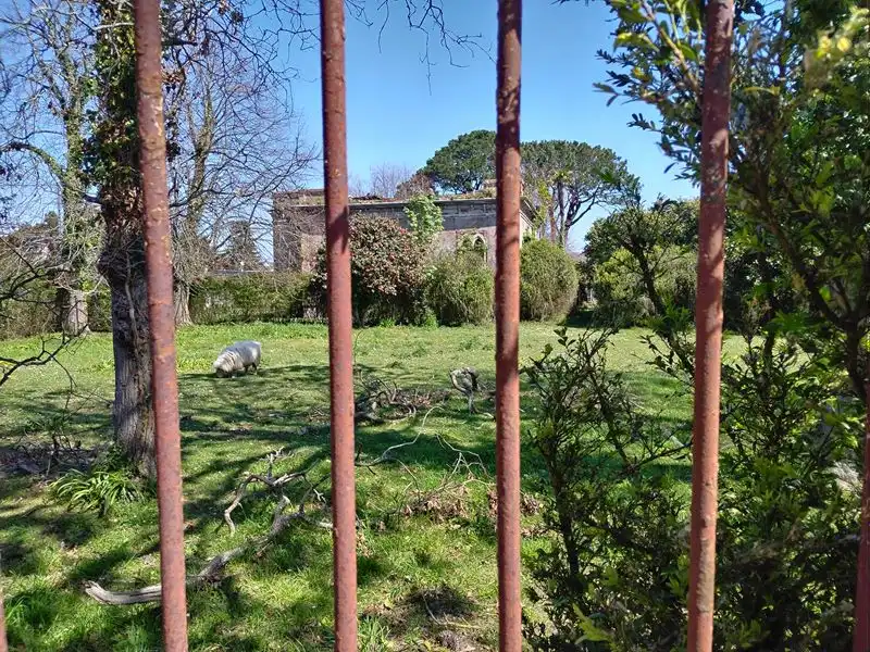 Jardín de Casa o chalet en venta en Valdés - Luarca