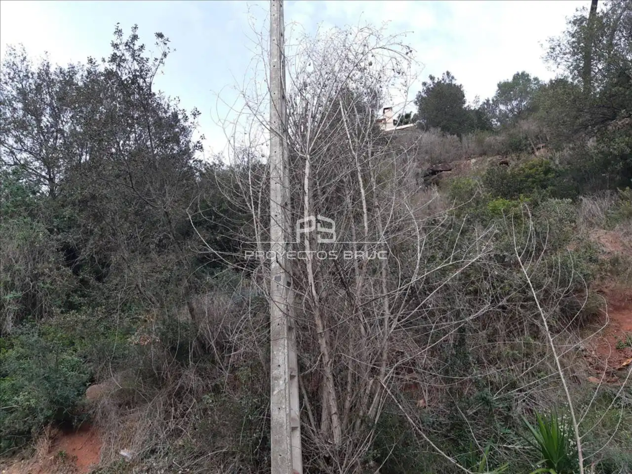 Terrain rustique à vendre à Calle manzana cinco, polígono III, de la Urbanización "C 168, imagen 4