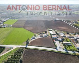 Land for sale in Jerez de la Frontera