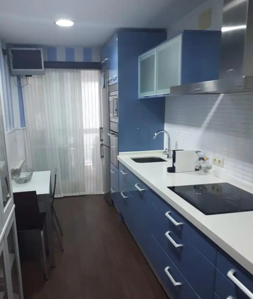 Piso de alquiler en Avenida de Portugal, Zona Norte - Hospital - Urbanizaciones