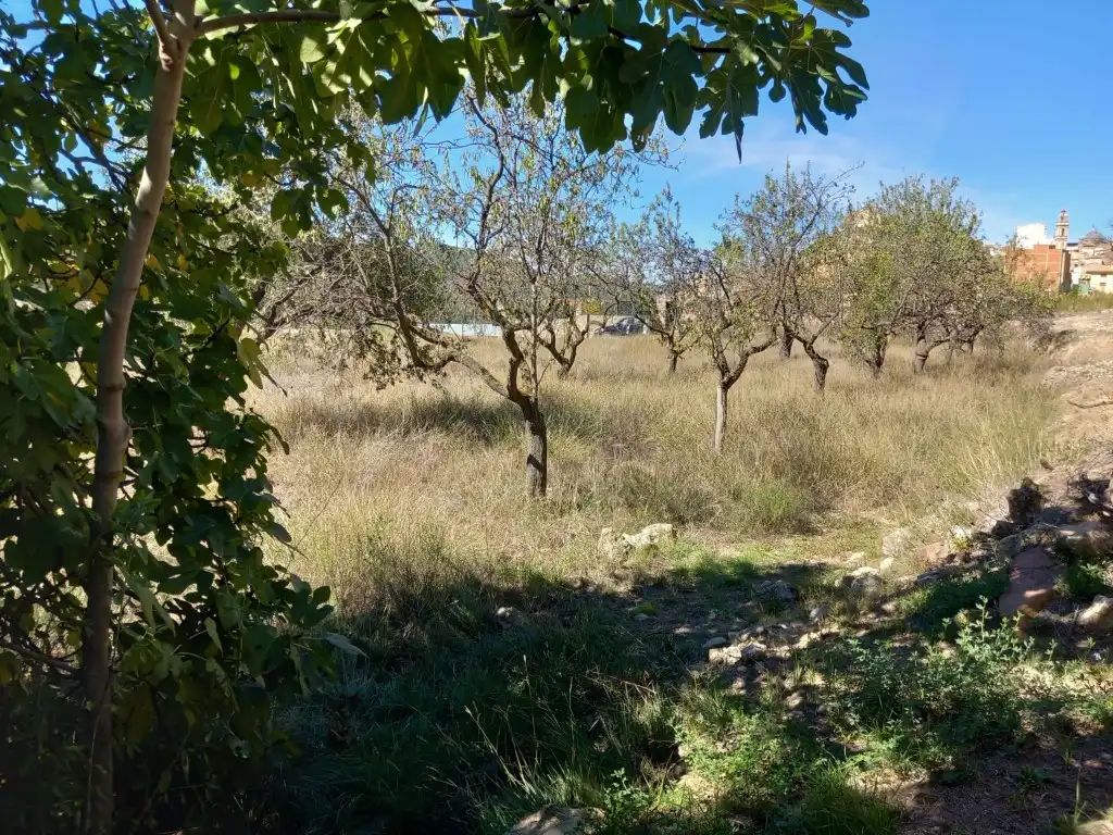 Terreno en venta en Tuéjar