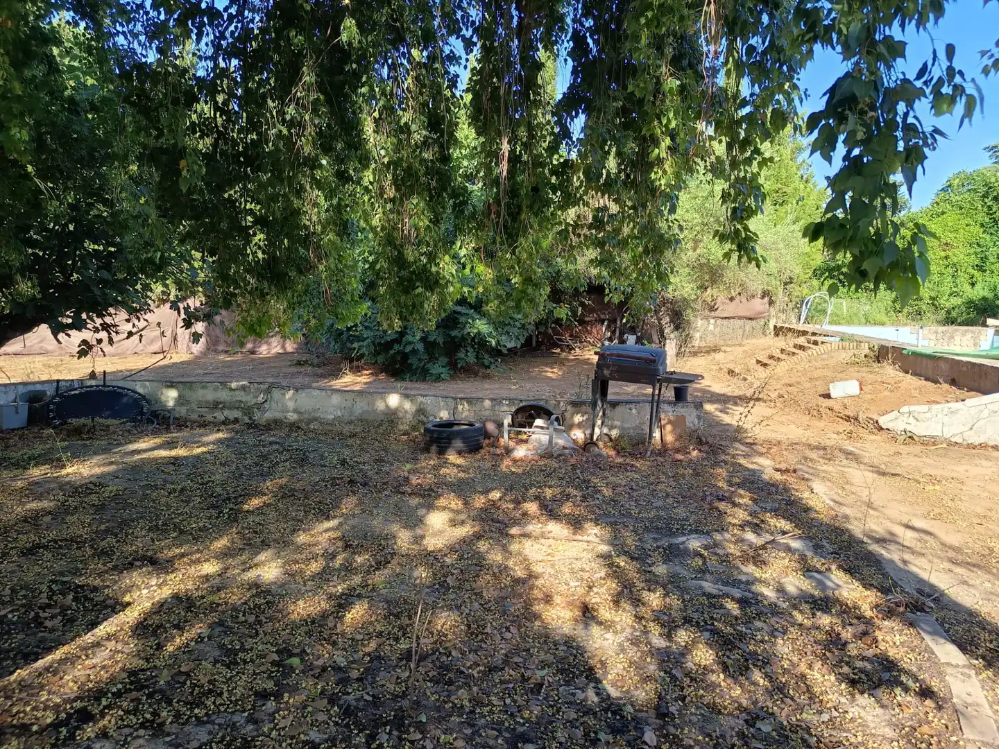 Jardín de Casa o chalet en venta en Palomares del Río