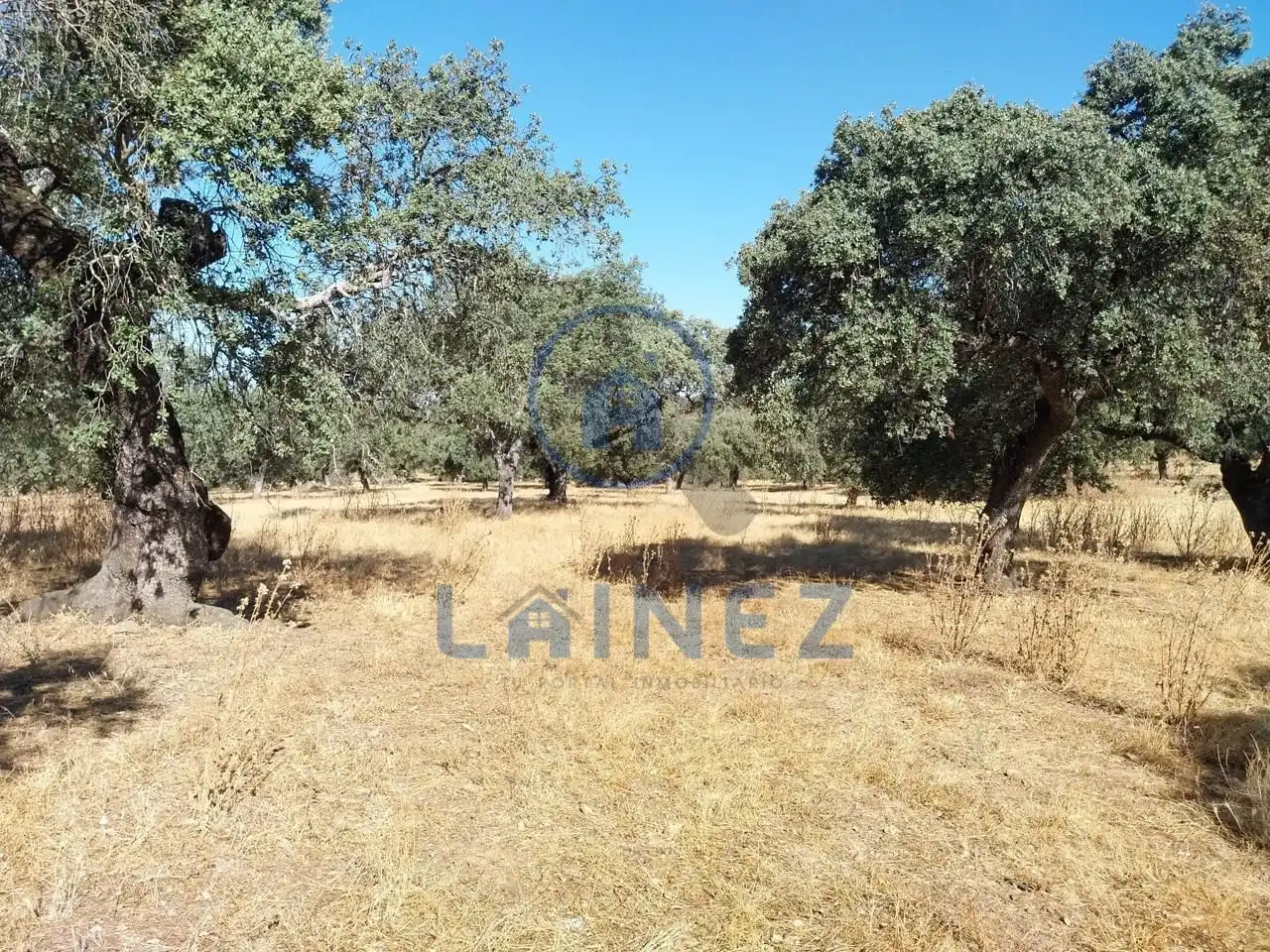 Lands and plots for sale in Fuente Obejuna, imagen 30