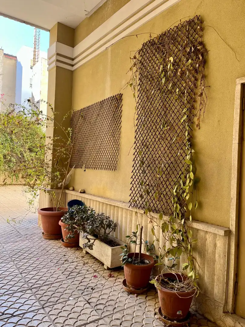 Wohnung mit Terrasse zum Verkauf in Elche ciudad, imagen 29