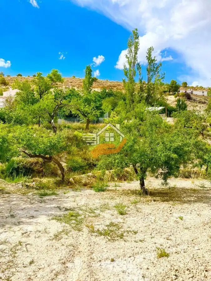 Lands and plots for sale in Vélez-Blanco, imagen 2