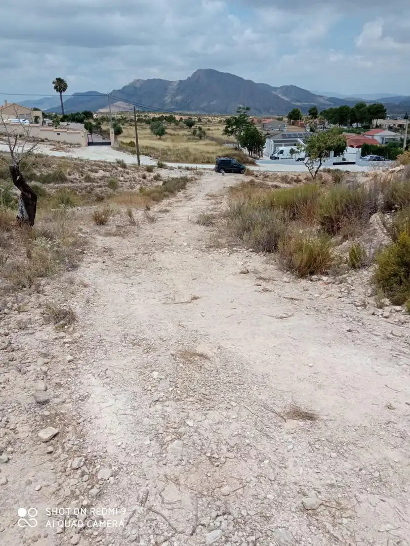 Terreno rustico in vendita a Hondón de los Frailes, imagen 3