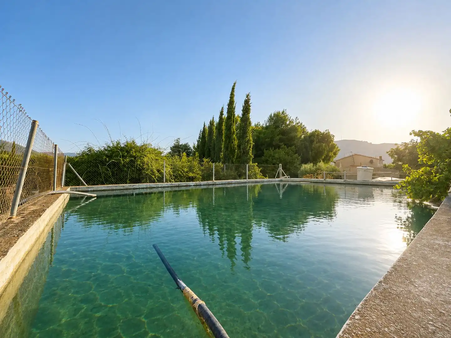 Swimming pool of Country homes for sale in Cehegín  with Terrace and Swimming Pool