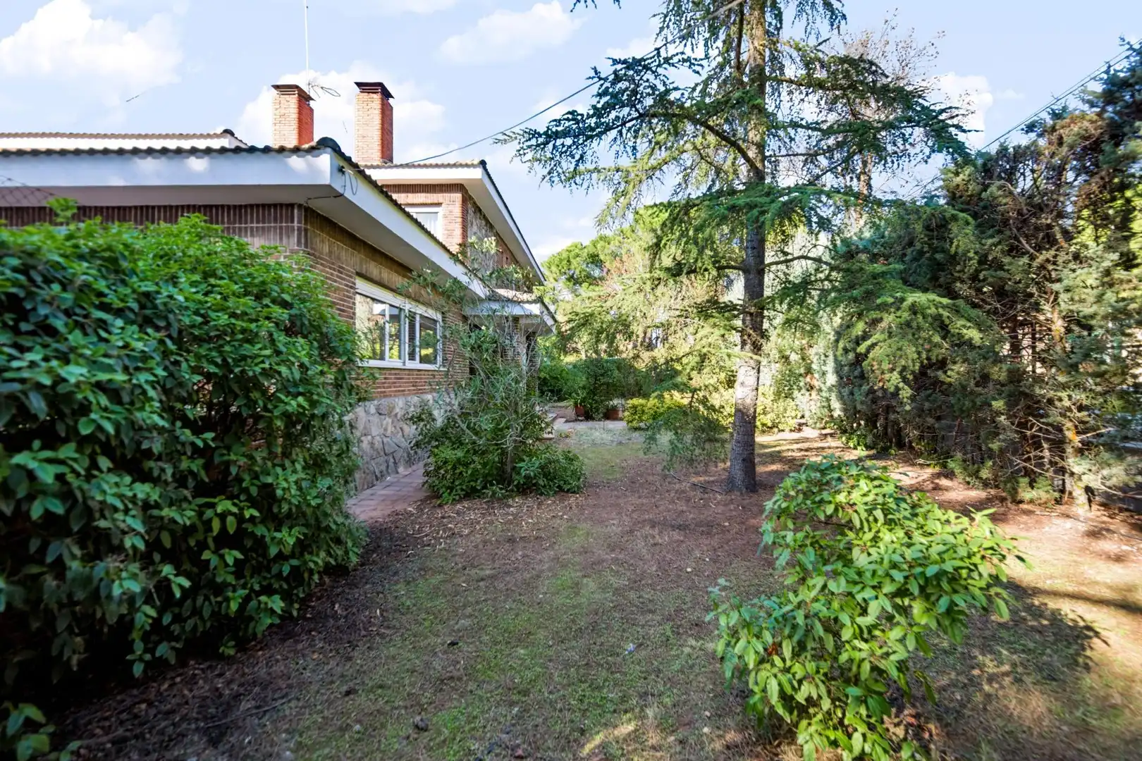 Jardí de Casa o xalet en venda en El Bosque