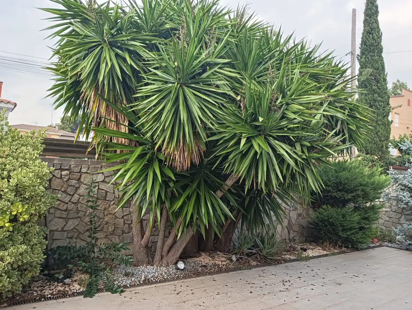 Garden of Houses for sale in Viladecavalls  with Air Conditioner, Heating and Private garden