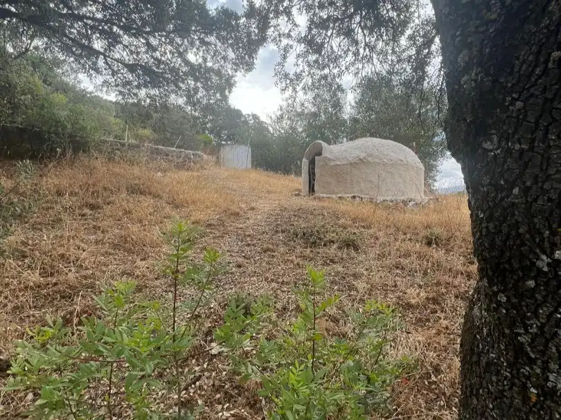 Land for sale in Mestanza