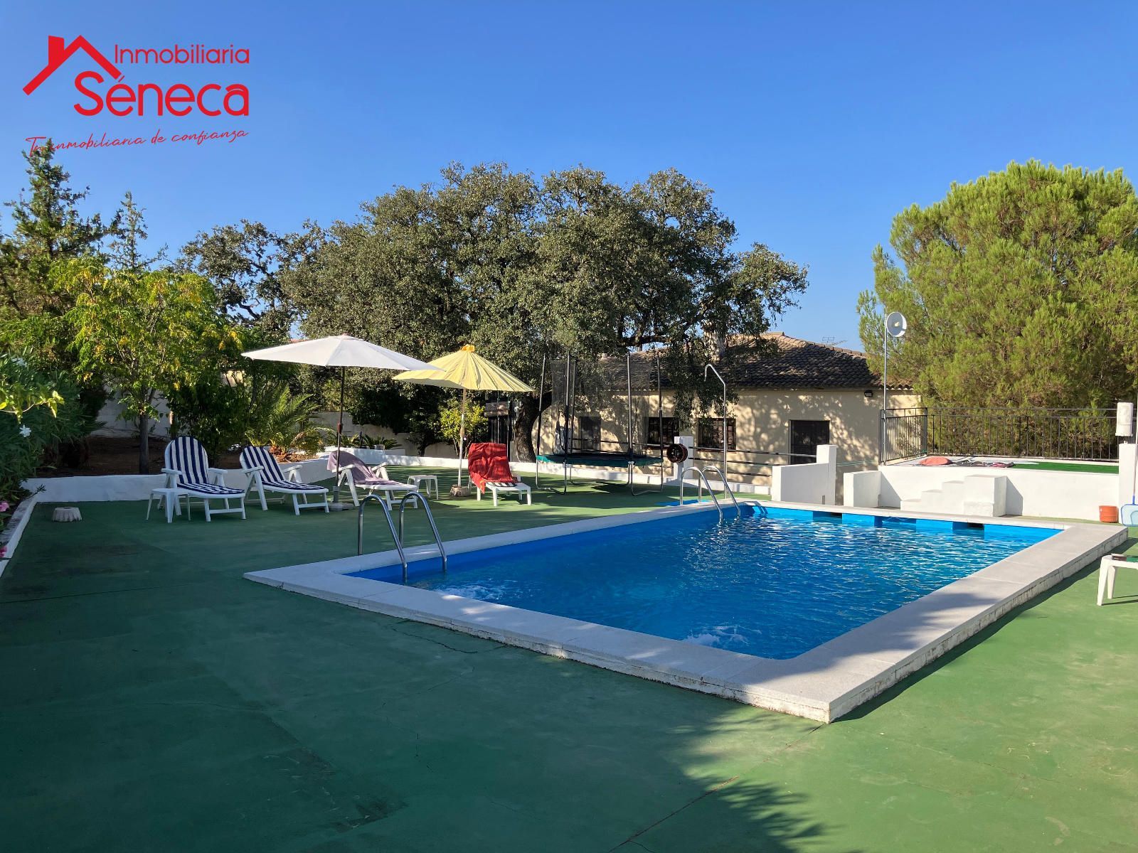 Swimming pool of House or chalet for sale in  Córdoba Capital  with Storage room, Swimming Pool and Furnished