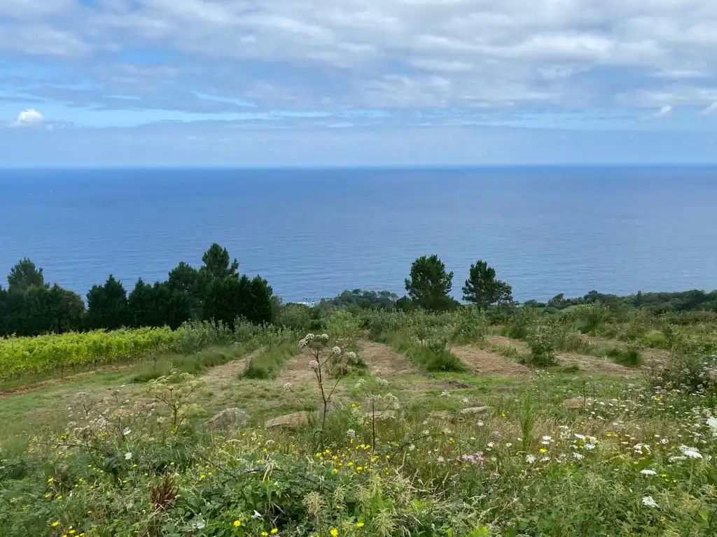 Terreni e lotti in vendita a Lapabide Kalea, imagen 2