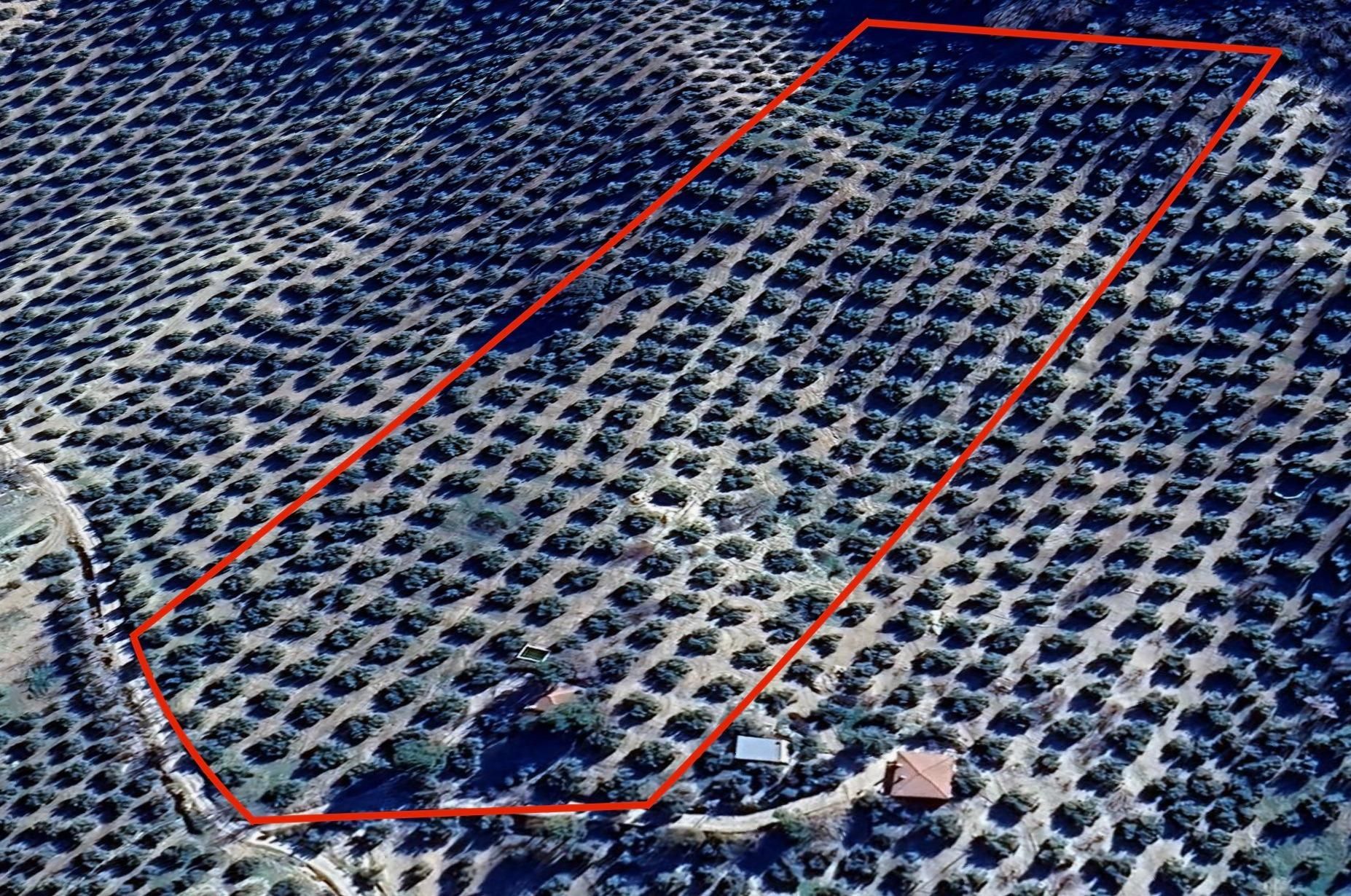 Terreno en venta en Montefrío