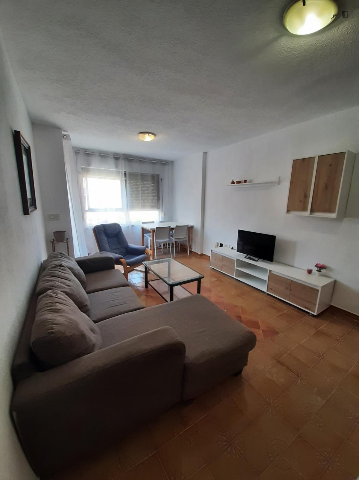 Sala d'estar de Apartament de lloguer en Sant Joan d'Alacant amb Moblat, Forn i Rentadora
