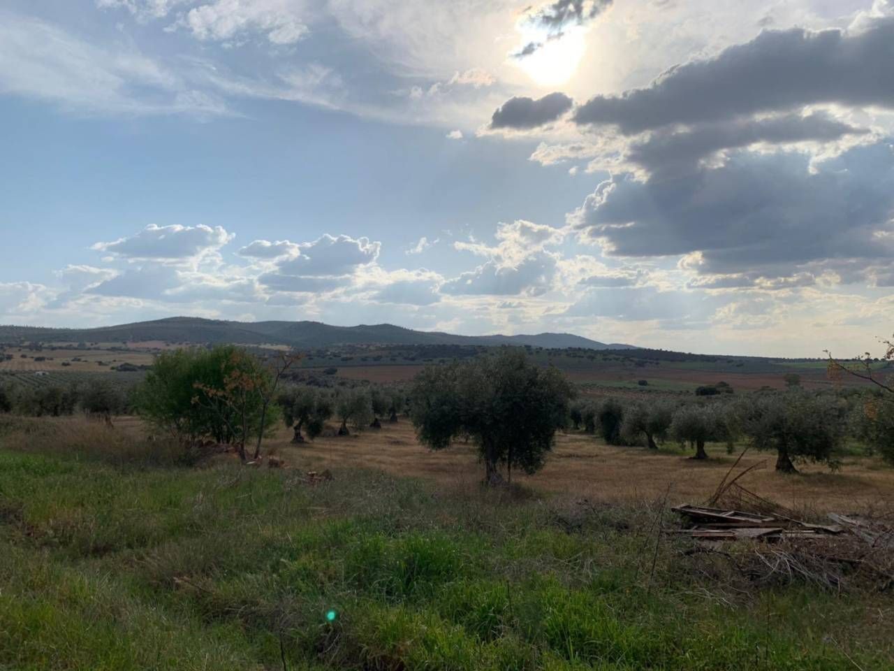 Country house for sale