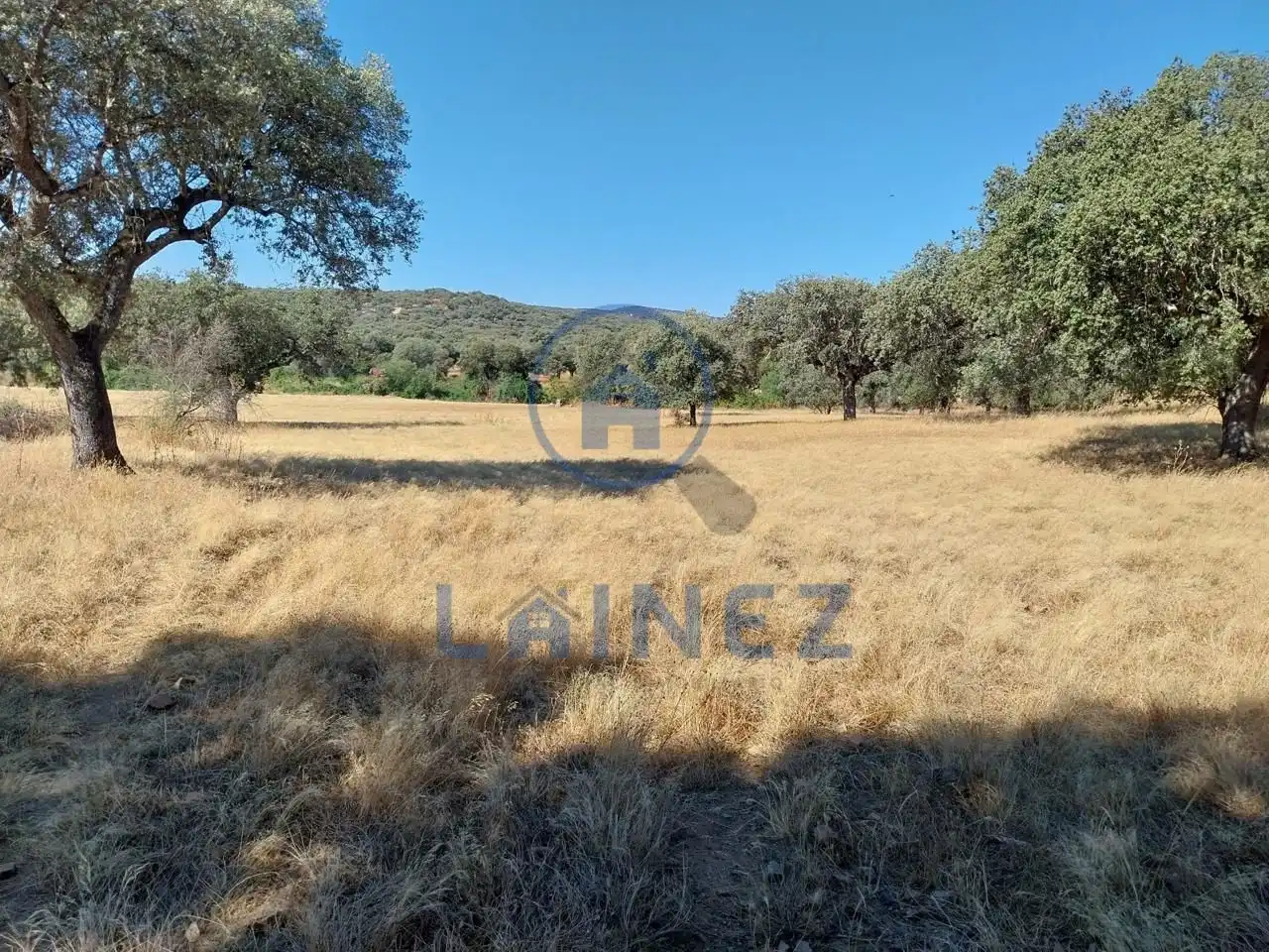 Lands and plots for sale in Fuente Obejuna, imagen 19