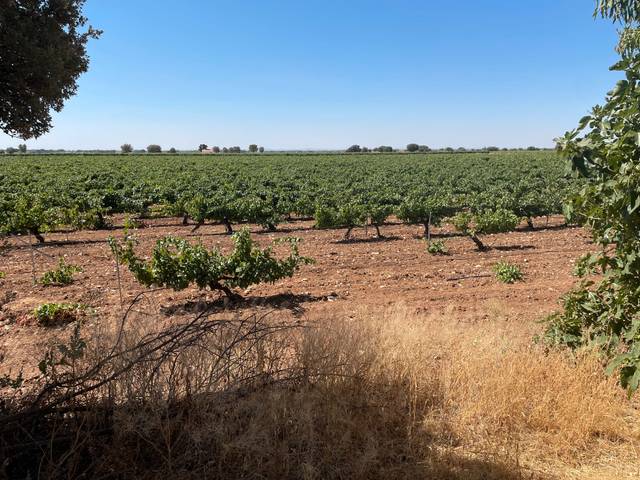 Terreno en Venta en N/A en Las Mesas