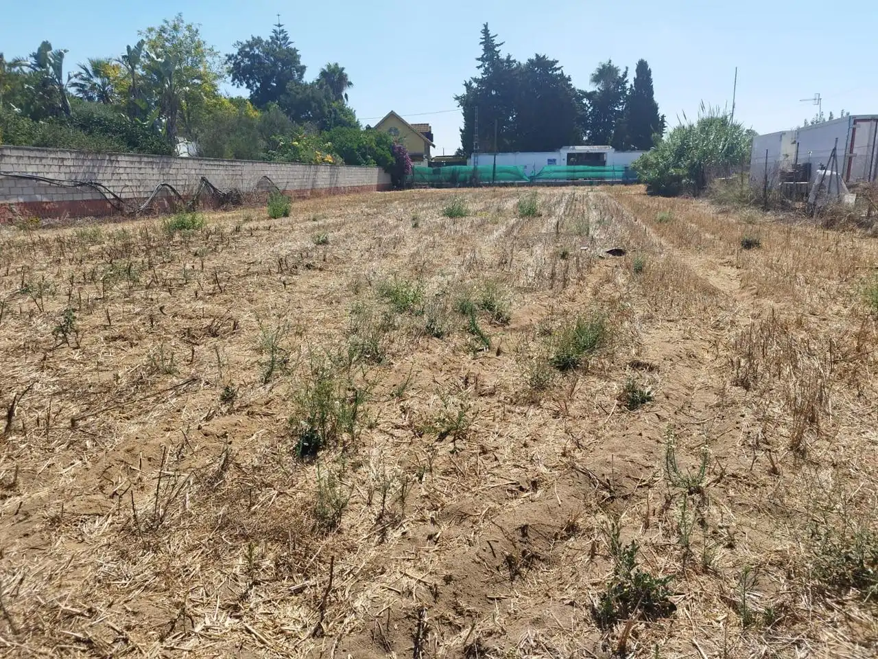 Lands and plots for sale in De La Jara, imagen 8