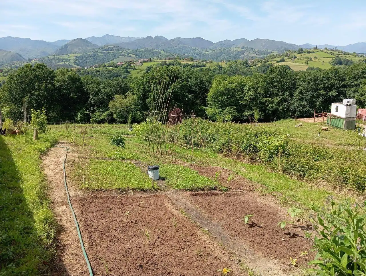 Maison à vendre à Sebares, Piloña, Asturias, Spain 28, imagen 56