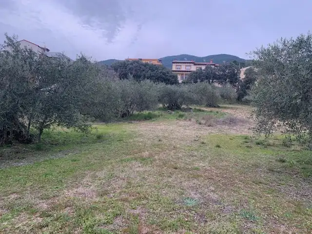 Terreni e lotti in vendita a Calle la Colmena, imagen 4