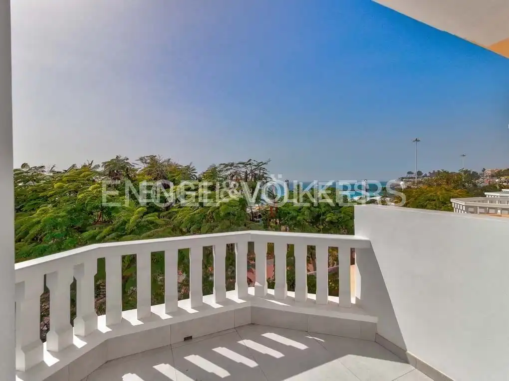 Houses for sale in Playa de Fañabé