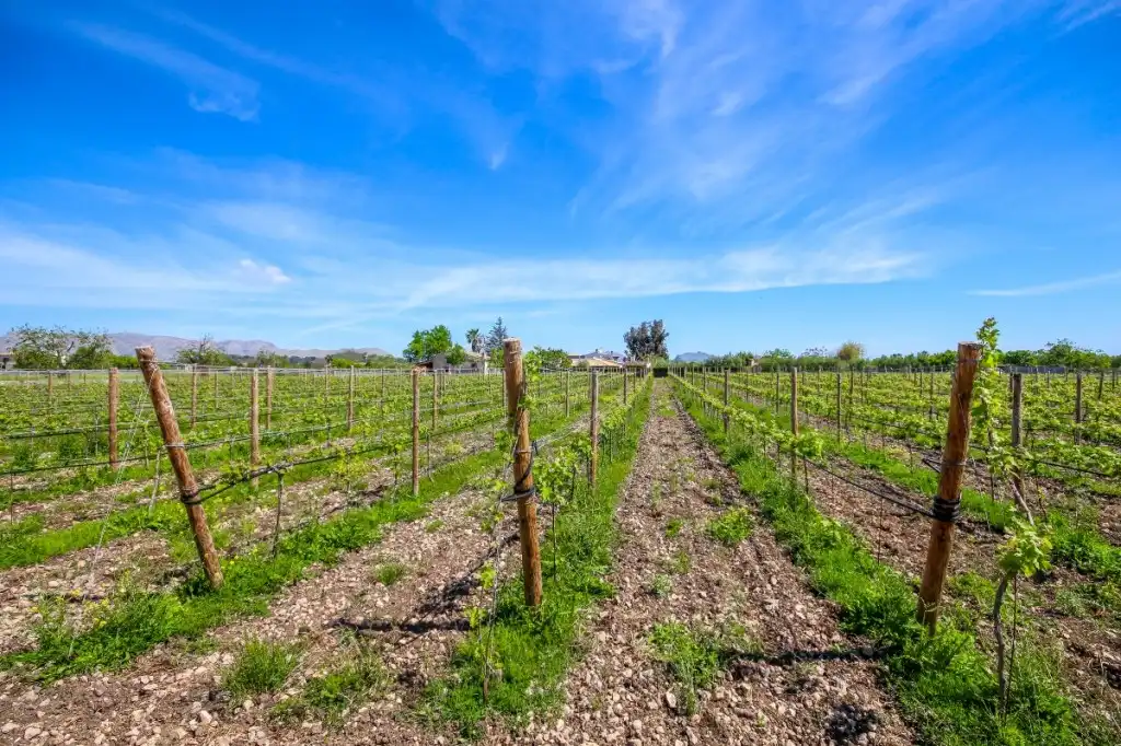 Finca rústica en venda en Alcúdia amb Aire condicionat, Calefacció i Jardí privat