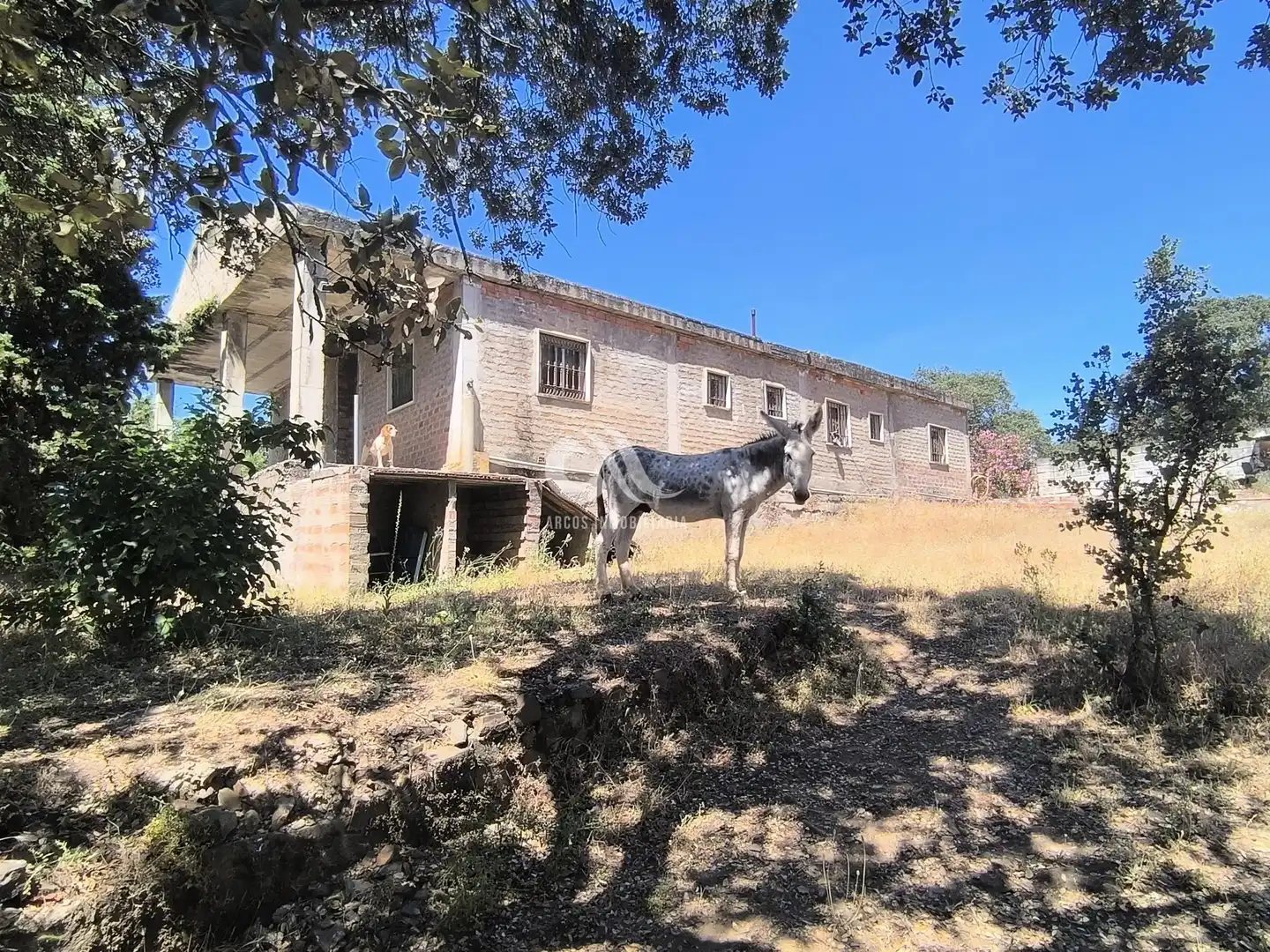 Vista exterior de Casa o chalet en venta en Córdoba