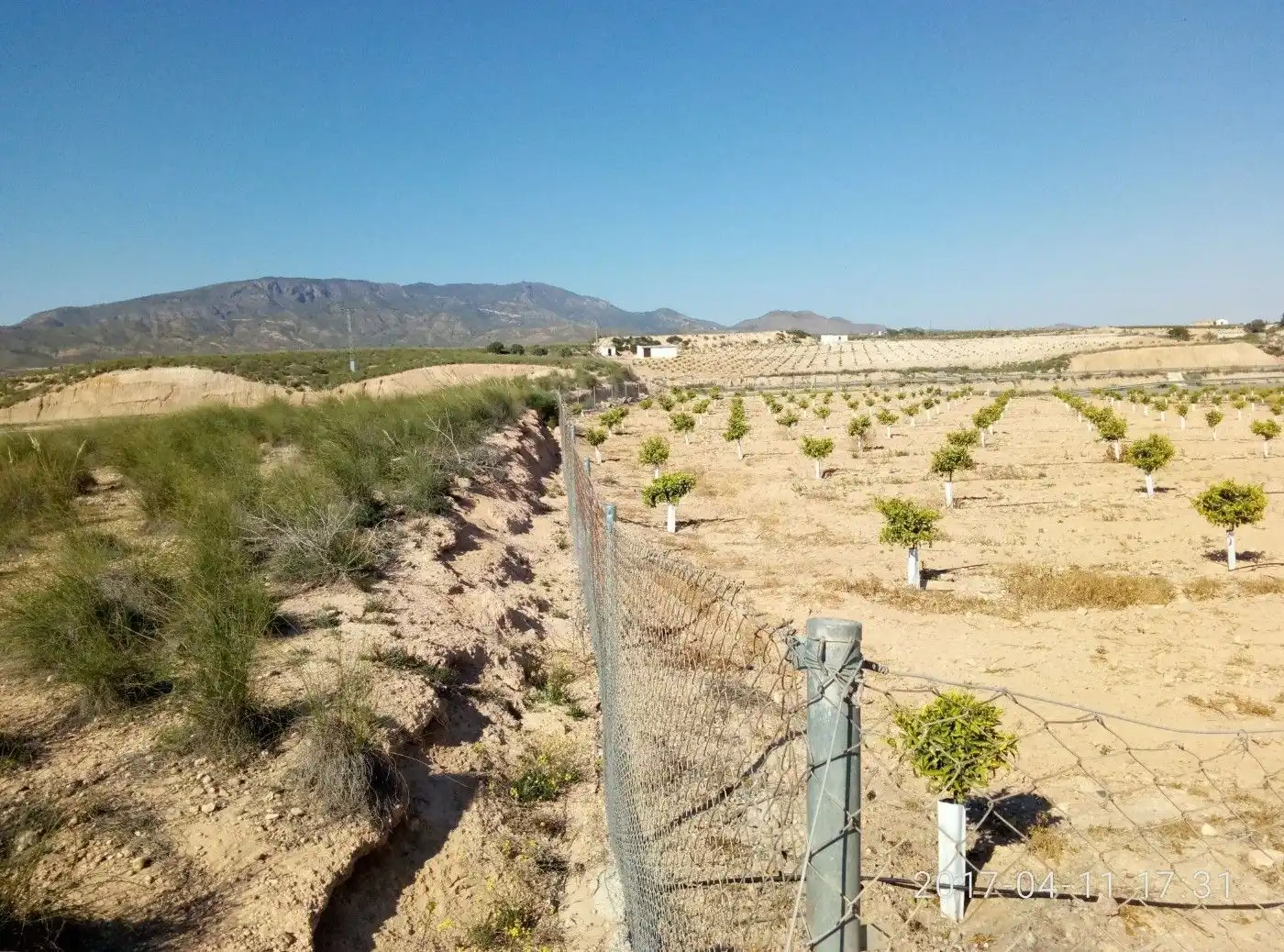 Terreny residencial en venda a Sierra de Carrascoy, imagen 41