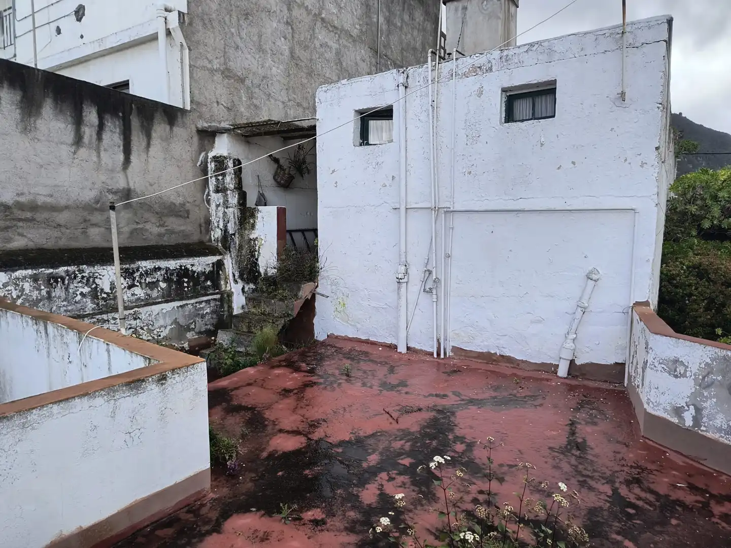 Vista exterior de Casa o chalet en venta en Los Realejos con Jardín privado, Terraza y Amueblado