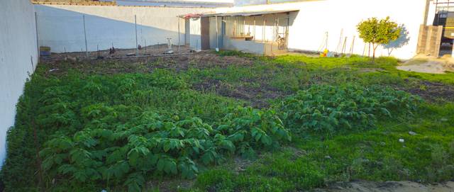 Terreno en Venta en Los Franceses – La Vega