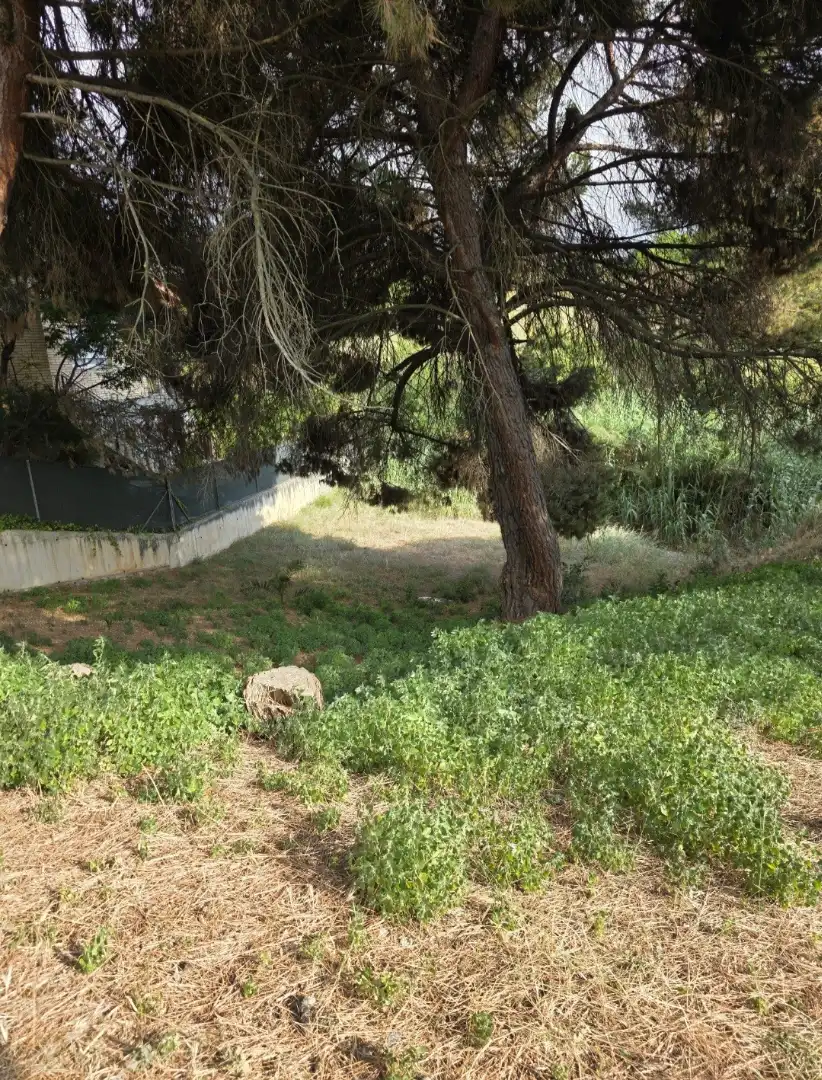 Terreno residencial en venta en Martorelles, imagen 4