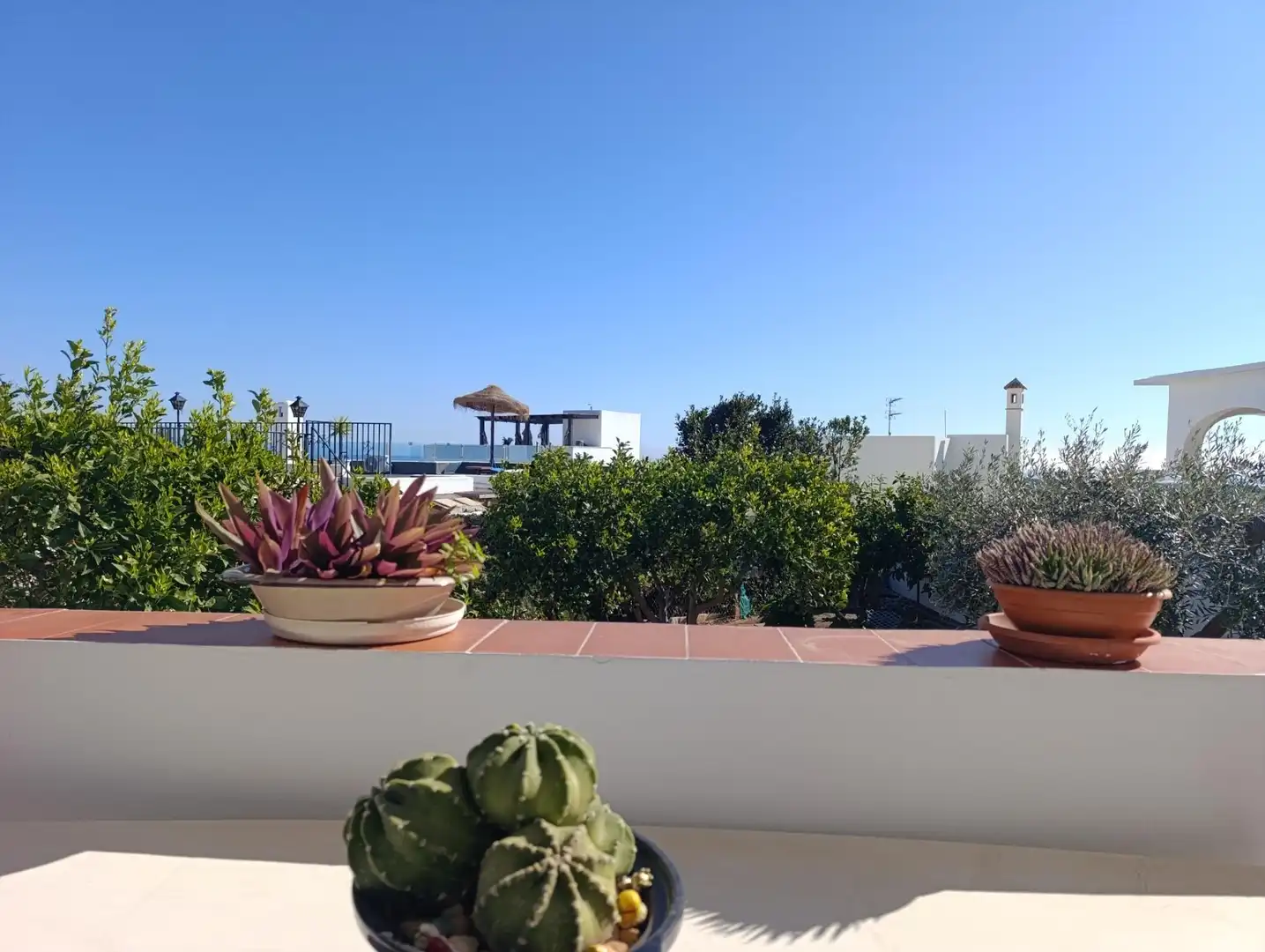 Detached house with terrace for sale in El Palmeral, imagen 38