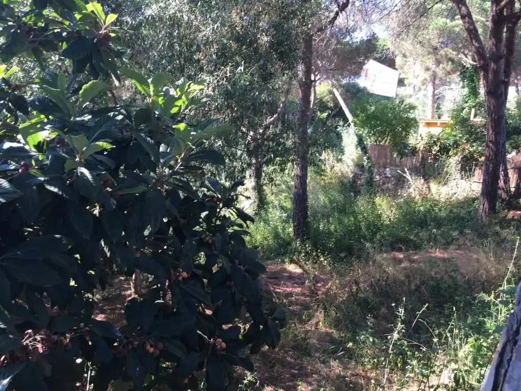 Wohnbaugrundstück zum Verkauf in Calle Benidorm, imagen 5