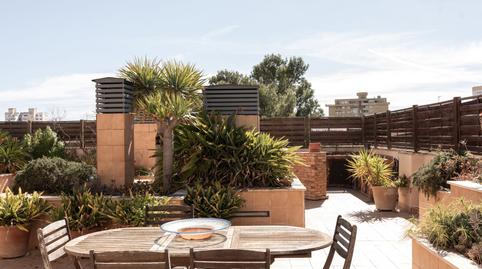 Foto 4 de Ático en venta en Son Dameto,  Palma de Mallorca