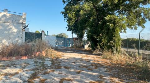 Foto 4 de Terreny de lloguer a Churriana - El Pizarrillo - La Noria-Guadalsol, Málaga Capital