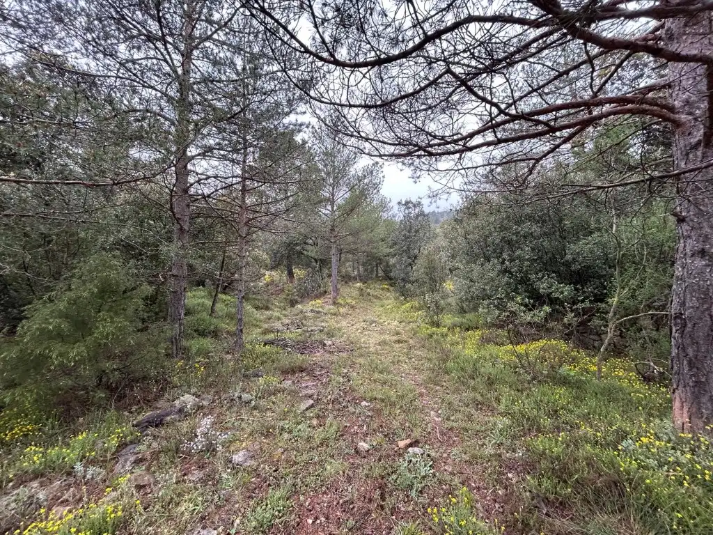 Country homes for sale in El Toro