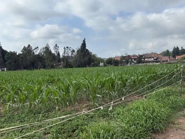Terreni e lotti in vendita a Cabezón de la Sal, imagen 8