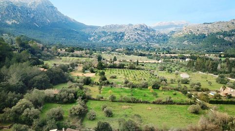 Finca rústica con necesidad de renovación en venta cerca de Pollensa, Mallorca