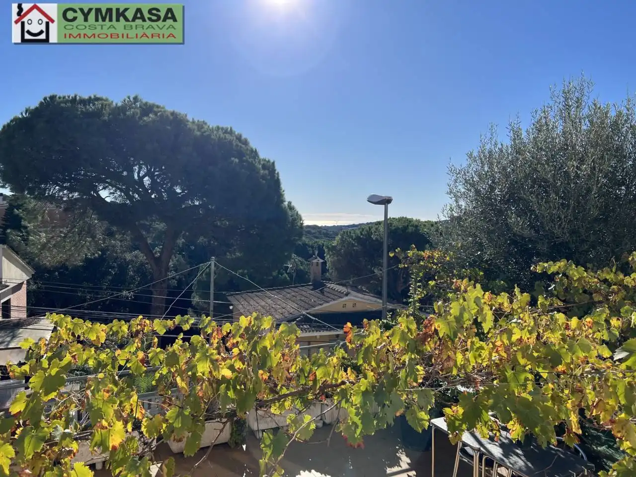 Garden of Detached homes for sale in Lloret de Mar  with Air Conditioner, Terrace and Alarm