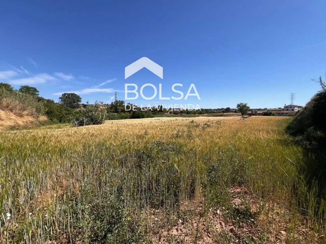 Rural land for sale in Barri Mion - Puigberenguer, imagen 5