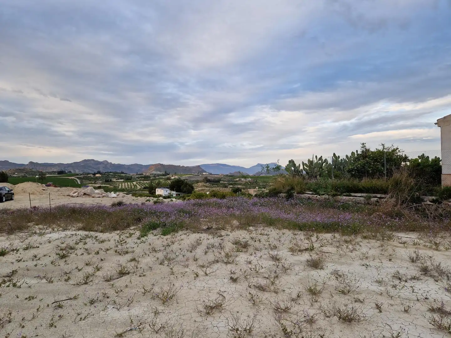 Land for sale in Villanueva del Río Segura