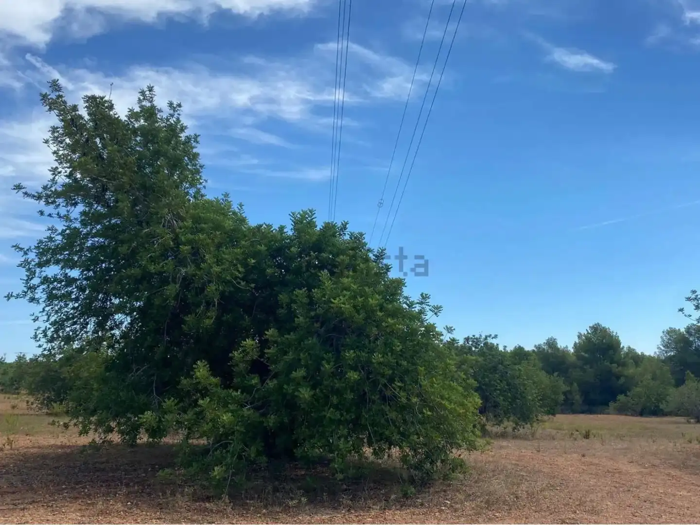 Rural land for sale in Extrarradio Diseminado 1, imagen 15