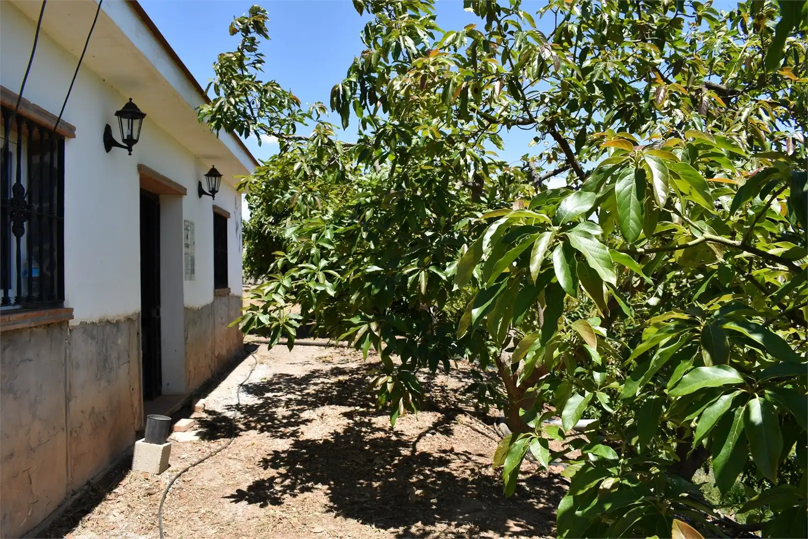 Garden of Country homes for sale in Vélez-Málaga