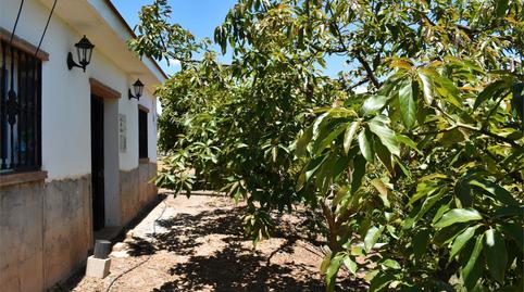 Foto 3 de Finca rústica en venda a Diseminado Almayate Bajo, Almayate, Málaga