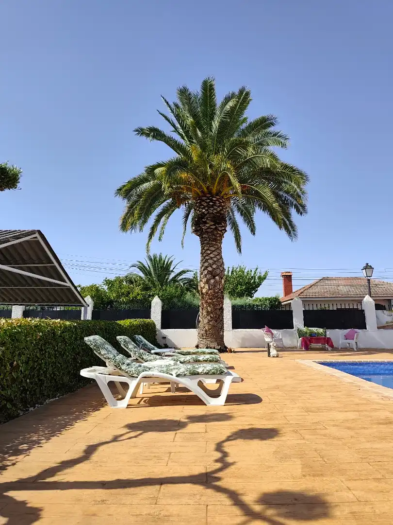 Villa mit Pool zum Verkauf in El Viso de San Juan, imagen 14
